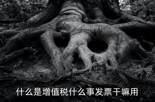 什么是增值發(fā)票，什么是增值發(fā)票