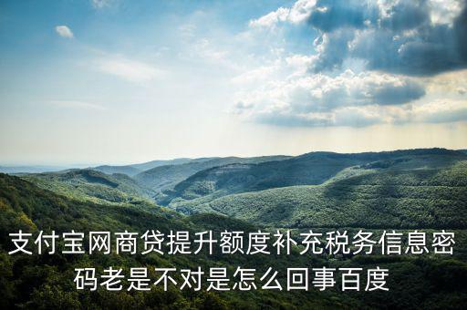 支付寶網(wǎng)商貸提升額度補充稅務信息密碼老是不對是怎么回事百度
