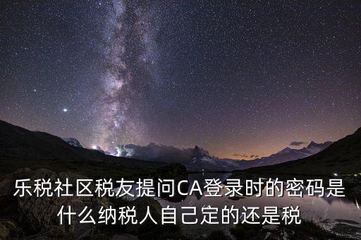 納稅人登路的密碼是什么意思，國稅第一次網(wǎng)上申報的登陸密碼是什么