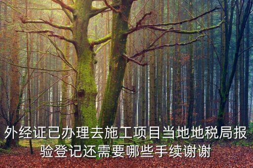 外管證報(bào)驗(yàn)都需要什么，辦了外管證咋申報(bào)