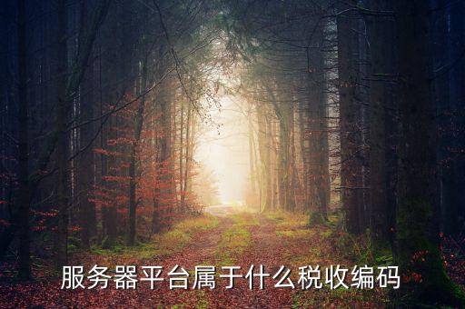 稅收服務編碼是什么，什么是稅收編碼