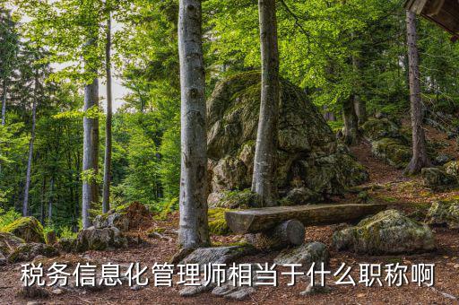 稅務(wù)信息化管理師相當于什么職稱啊