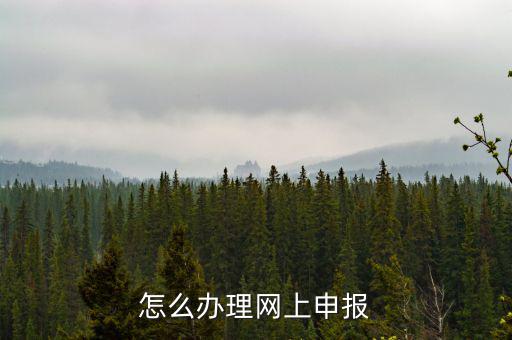 航天數(shù)字證書是什么，機打發(fā)票上顯示輸入正確的數(shù)字證書怎么回事