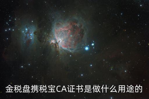 稅友的ca是什么，什么是稅務(wù)局的CA證書