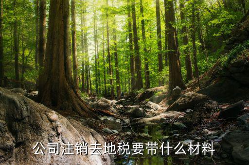 注銷地稅需要帶什么資料，公司注銷去地稅要帶什么材料