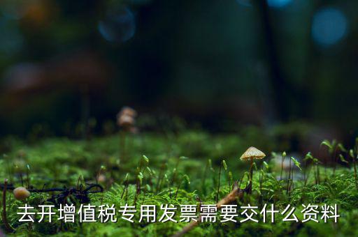 開專票需要對方什么資料，開具增值稅專用發(fā)票需要購買方提交什么資料稅屋