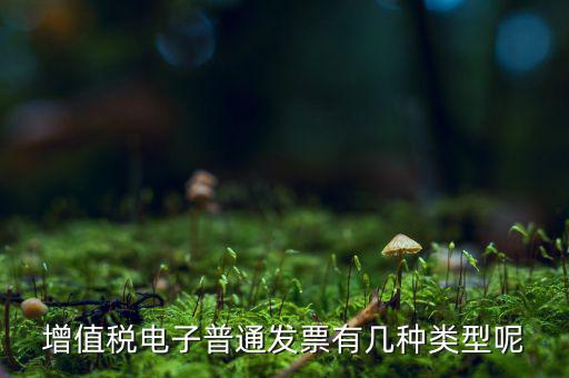 普通發(fā)票有什么種類，發(fā)票分幾種