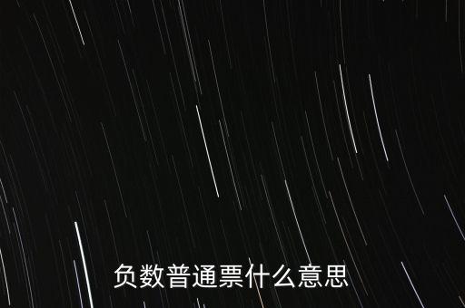 負數(shù)普通票什么意思
