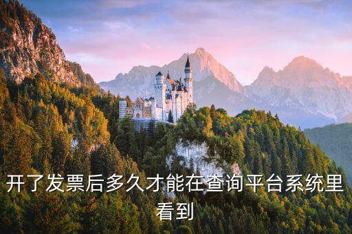 勾選平臺(tái)什么時(shí)候可以查到發(fā)票，已經(jīng)開(kāi)具的專用發(fā)票多久才能在勾選平臺(tái)中查到
