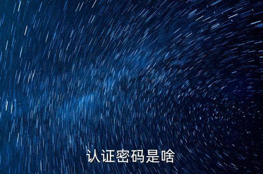 網(wǎng)上認證的密碼是什么意思啊，市民身份證手機認證服務密碼是什么意思在線等急