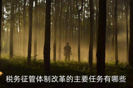 稅務系統(tǒng)的業(yè)務改革都有什么，稅務征管體制改革的主要任務有哪些