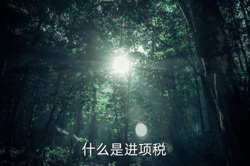 進(jìn)項(xiàng)是指什么，什么是進(jìn)項(xiàng)稅