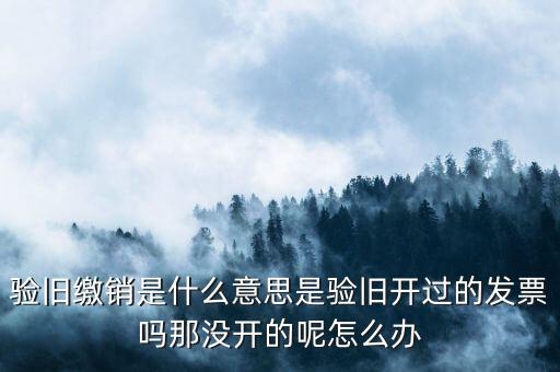發(fā)票驗(yàn)舊繳銷是什么意思，發(fā)票驗(yàn)舊是什么意思