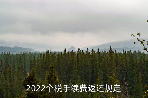 個稅返手續(xù)費什么時間，退個稅手續(xù)費2022年新規(guī)定