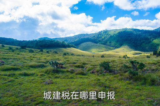 地稅城市維護建設稅按什么申報，城建稅申報