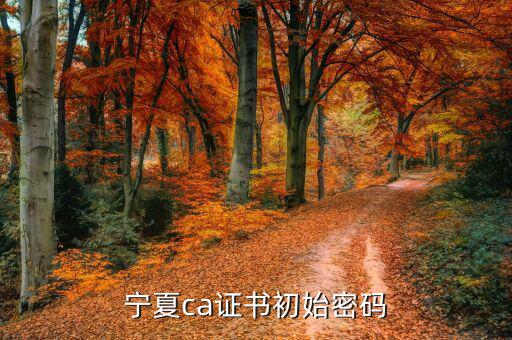 ca的默認(rèn)密碼是什么意思，ca口令是什么