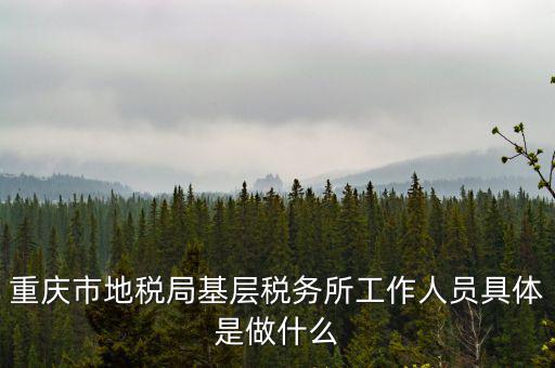 稅務(wù)局什么工作人員，請問地方稅務(wù)局具體做哪些工作