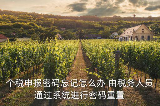 去稅局重置密碼要帶什么資料，個稅申報密碼怎么重置