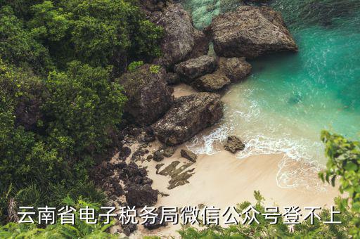 為什么電子稅務(wù)登錄不上，云南省電子稅務(wù)局微信公眾號(hào)登不上