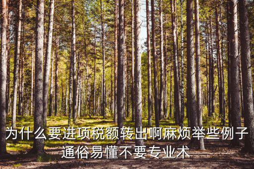 為什么要進(jìn)項(xiàng)稅額轉(zhuǎn)出，為什么要進(jìn)項(xiàng)稅額轉(zhuǎn)出啊麻煩舉些例子通俗易懂不要專業(yè)術(shù)