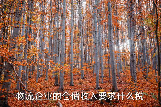 倉儲物流公司繳納什么稅，我是會計新手 請問各位師傅們物流公司應(yīng)繳納什么稅