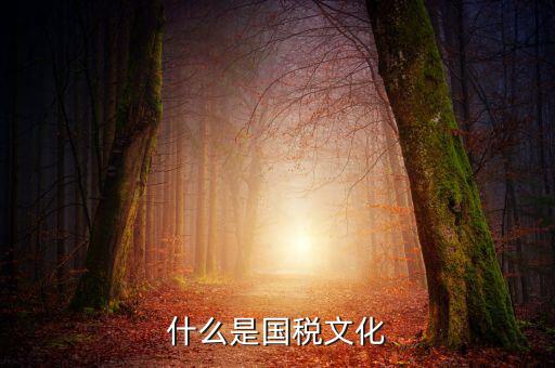 什么是國(guó)稅文化
