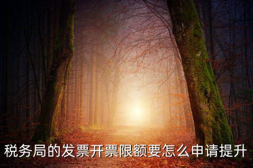 提高開票限額申請(qǐng)需要什么資料，去稅務(wù)局增大公司的開票限額需要帶些什么我公司第一次開票去申