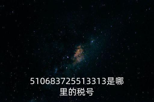 陜西省地方的稅號開頭是什么，510683725513313是哪里的稅號