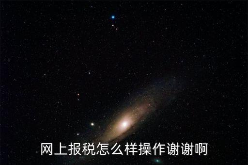 福建企業(yè)在什么網(wǎng)站報(bào)稅，網(wǎng)上報(bào)稅怎么樣操作謝謝啊