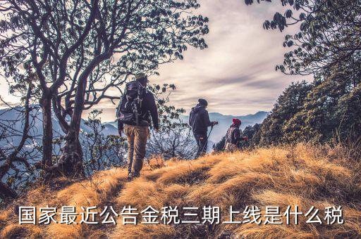 金稅三期從什么上線，國家最近公告金稅三期上線是什么稅