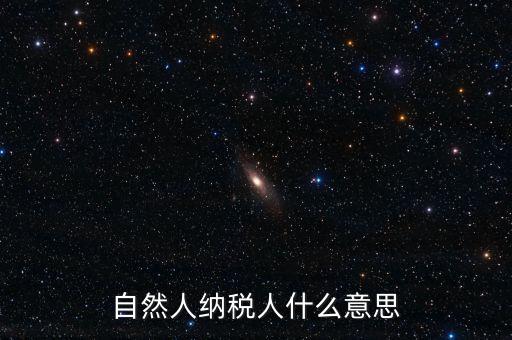 登記稅務(wù)的自然人是什么意思，請問一下自然人登記是什么意思