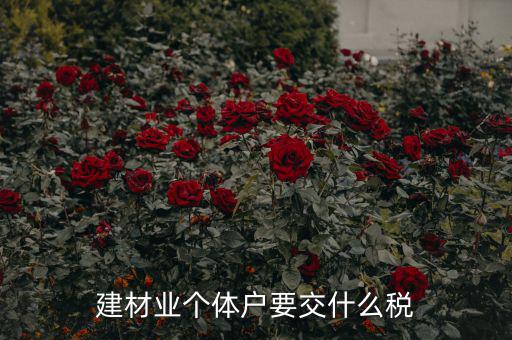 建材業(yè)個(gè)體戶(hù)要交什么稅