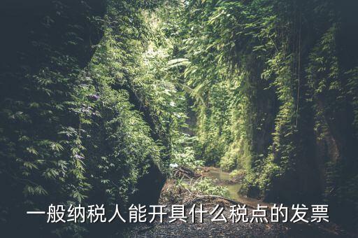 一般納稅人領(lǐng)什么發(fā)票，一般納稅人企業(yè)能開具和使用什么類型的發(fā)票