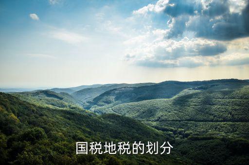 地稅分為什么種類，國稅地稅的劃分