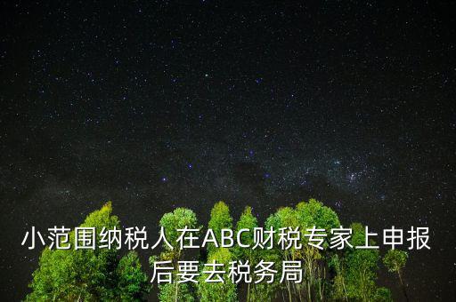 財(cái)稅專家是報(bào)什么稅，小范圍納稅人在ABC財(cái)稅專家上申報(bào)后要去稅務(wù)局
