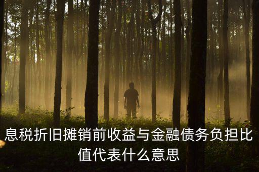 息稅折舊攤銷前收益與金融債務(wù)負擔比值代表什么意思