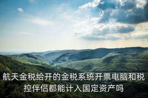 金稅為什么給中軟做，航天金稅給開的金稅系統(tǒng)開票電腦和稅控伴侶都能計(jì)入國定資產(chǎn)嗎