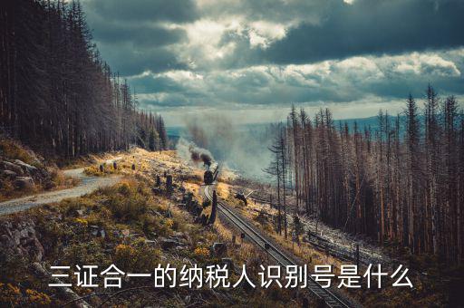 三證合一的稅號是什么，三證合一的納稅人識別號是什么