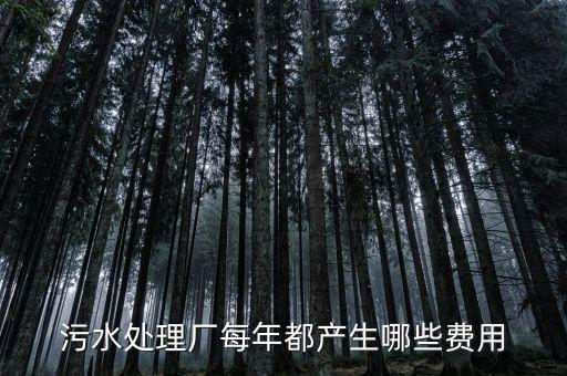 污水處理廠要交什么稅，污水處理廠屬于什么納稅行業(yè)
