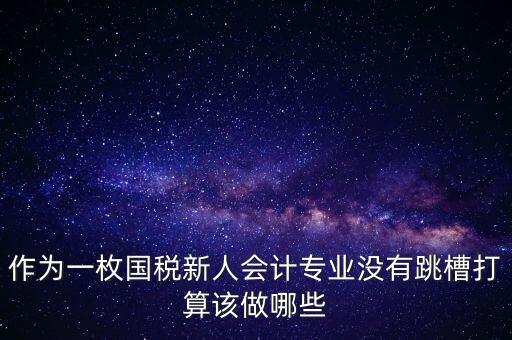 作為一枚國稅新人會(huì)計(jì)專業(yè)沒有跳槽打算該做哪些