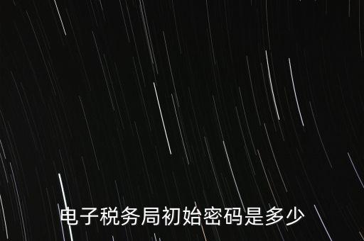電子稅務局初始密碼是多少