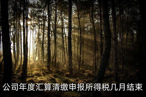公司年度匯算清繳申報所得稅幾月結(jié)束