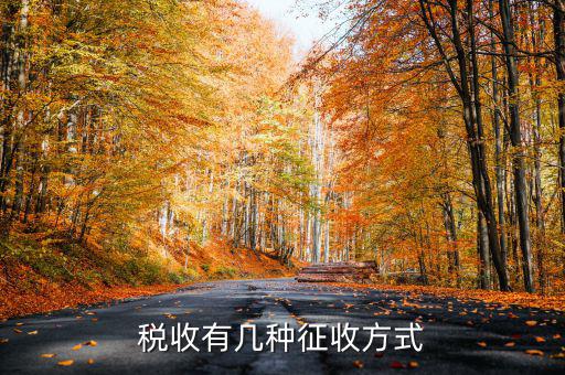 稅務征非稅采取什么方式，稅務征收有哪幾種