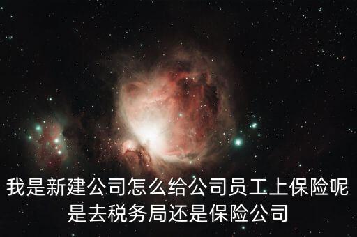 稅務(wù)局保險(xiǎn)是什么，稅務(wù)局讓企業(yè)交得規(guī)費(fèi)和參保費(fèi)是什么