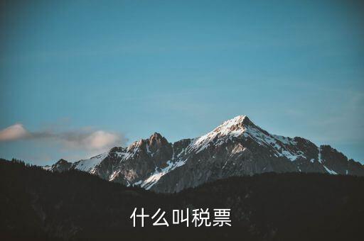 納稅稅票是什么，什么叫稅票