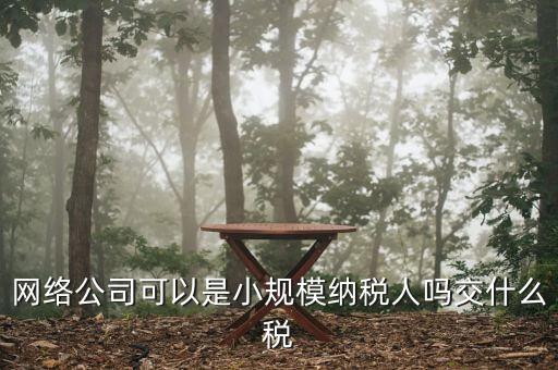 網(wǎng)絡公司可以是小規(guī)模納稅人嗎交什么稅