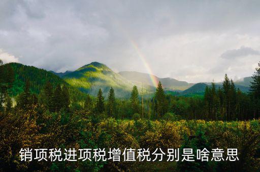 什么是銷項和進項，進項稅和銷項稅是什么意思