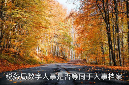 數(shù)字人事國稅是什么，數(shù)字人事第一段怎么劃分
