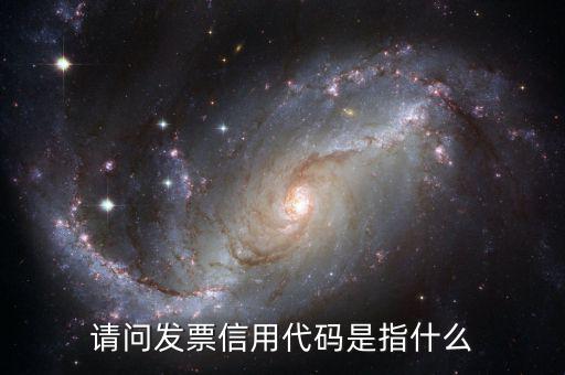 國(guó)稅開普票信用代碼是什么，發(fā)票上的統(tǒng)一社會(huì)信用代碼是什么