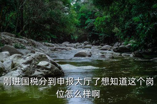 國稅局新進人員一般分到什么崗位，國稅局 工作人員需要哪些專業(yè)職稱